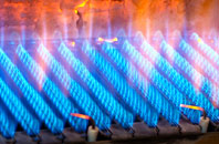 Farnham Park gas fired boilers